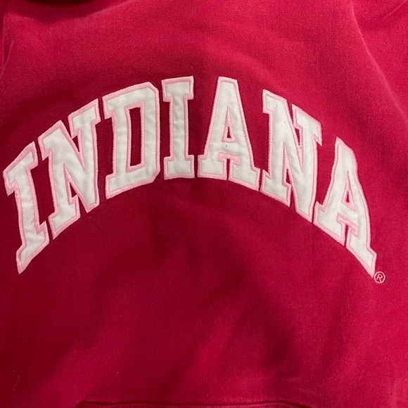 Vintage 2000’s Indiana State University Steve & Barry’s Hoodie Sweater Size M - Picture 3 of 4